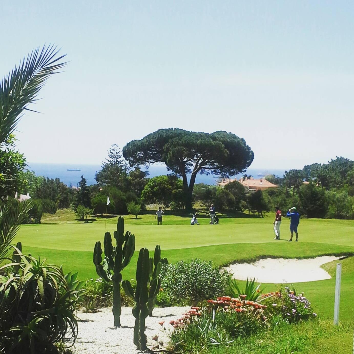 Chalet Ludovina Otel Estoril Dış mekan fotoğraf